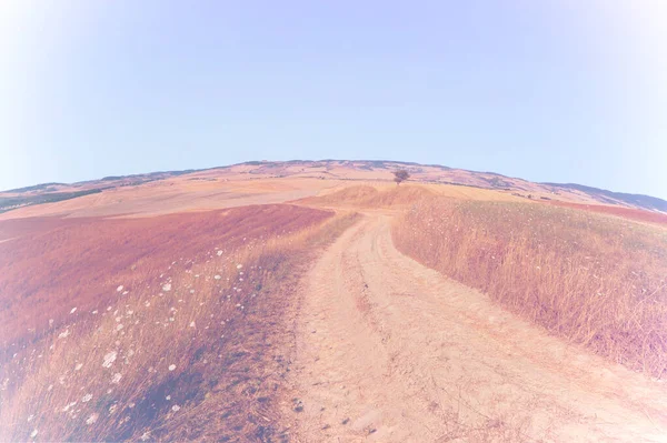 Abandoned Winding Road Mown Wheat Fields Italian Tuscany Faded Color — Stock Photo, Image