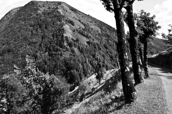 Schmaler Gepflasterter Pfad Den Französischen Alpen Schwarz Weiß Wüstengebiet Als — Stockfoto