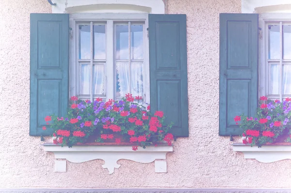 Окна Баварскими Ставнями Украшенные Гераниумами Традиционными Южной Германии Выцветшем Цвете — стоковое фото