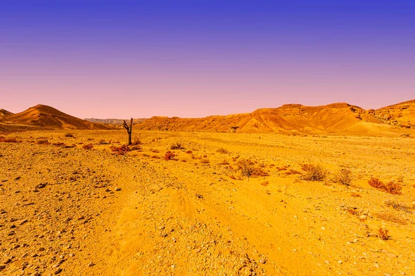 Impresionante Paisaje Las Formaciones Rocosas Desierto Israel Escena Sin Vida — Foto de Stock