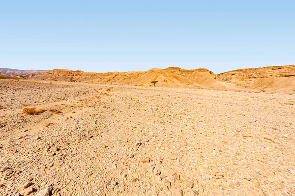 Breathtaking Landscape Rock Formations Israel Desert Lifeless Desolate Scene Concept — Stock Photo, Image