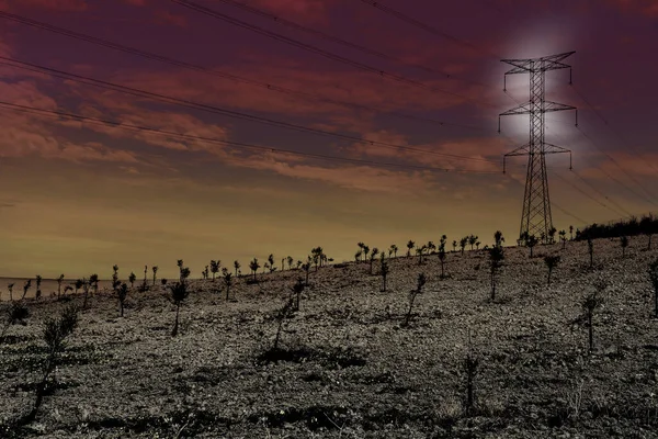 オリーブ グローブと月明かり収穫後スペイン内のフィールド イベリア半島の風景でパイロンに搭載の電気送電線 — ストック写真