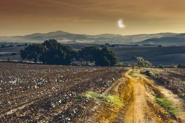 Fält Spanien Efter Skörd Mot Bakgrund Månen Hisnande Landskap Och — Stockfoto