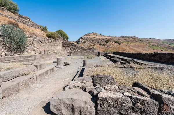 Reserva Natural Gamla Localizado Nas Colinas Golan Israel Vista Dos — Fotografia de Stock