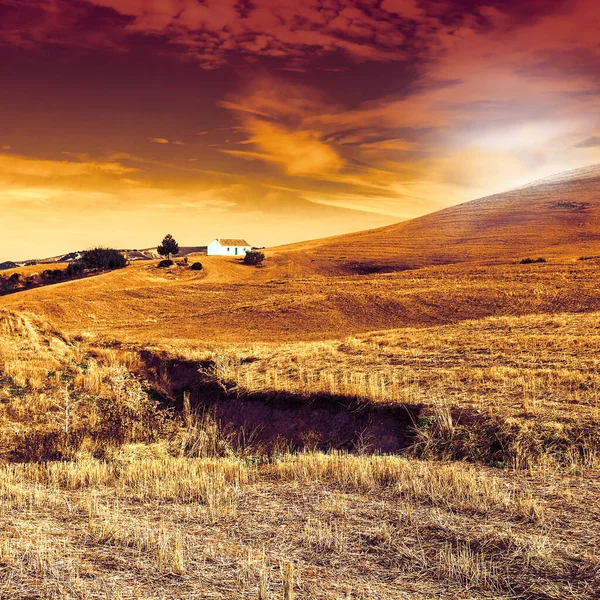 Fazenda Campo Após Colheita Nascer Sol Espanha Paisagem Tirar Fôlego — Fotografia de Stock