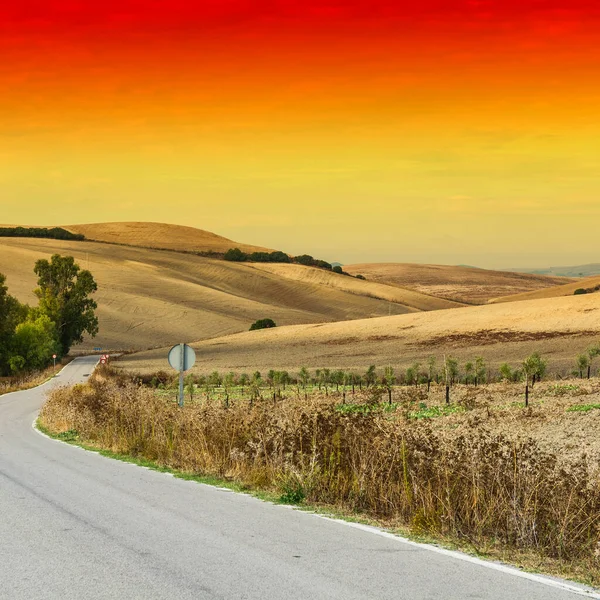 Asfalterad Väg Mellan Fälten Spanien Efter Skörd Vid Soluppgången Häpnadsväckande — Stockfoto