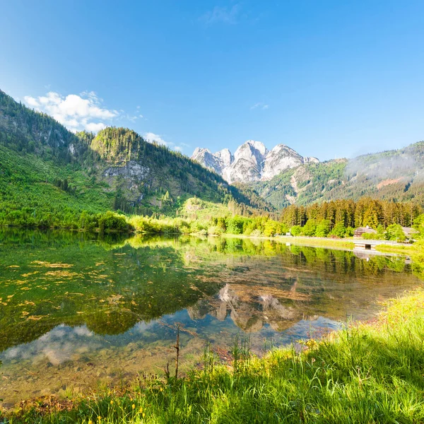 奥地利风景与森林 领域和牧场周围湖岣梢湖在阿尔卑斯的背景上 — 图库照片