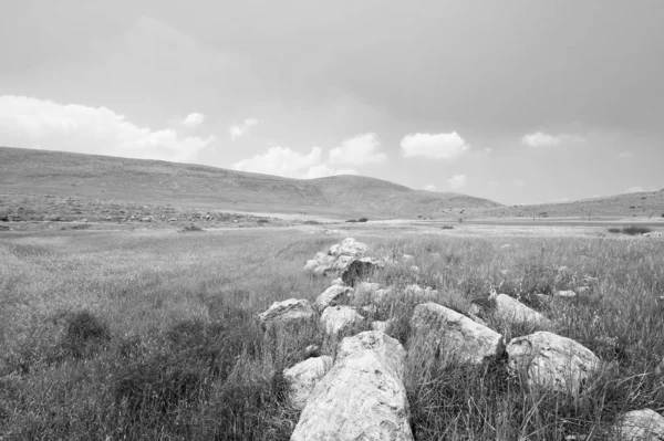 이스라엘 에서는 흑백으로 저주받은 평지였다 사막에 바위들 — 스톡 사진