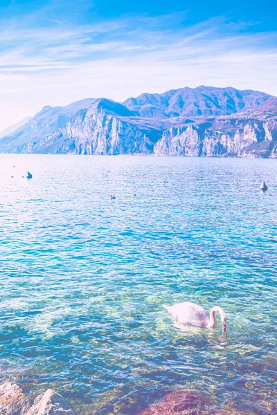 Turizm Yokluğunda Talya Garda Gölü Nün Issız Kıyıları Renk Etkisinin — Stok fotoğraf