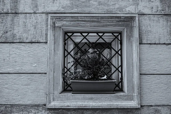 Janelas Italianas São Horizontes Novos Antigos Beleza Funcionalidade Desempenho Preto — Fotografia de Stock