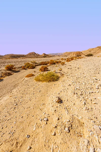 Adembenemend Landschap Van Rotsformaties Israëlische Woestijn Levenloos Verlaten Tafereel Als — Stockfoto