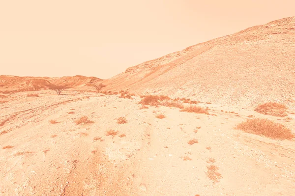 Atemberaubende Landschaft Der Felsformationen Der Israelischen Wüste Morgengrauen Zeitgenössischem Stil — Stockfoto