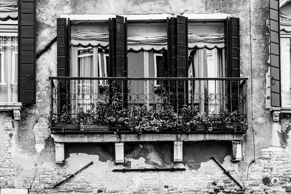 이탈리아의 창문은 흑백으로 성능의 새로운 지평이다 — 스톡 사진