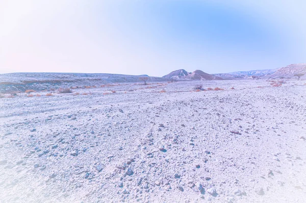 Breathtaking Landscape Rock Formations Israel Desert Faded Color Effect Lifeless — Stock Photo, Image
