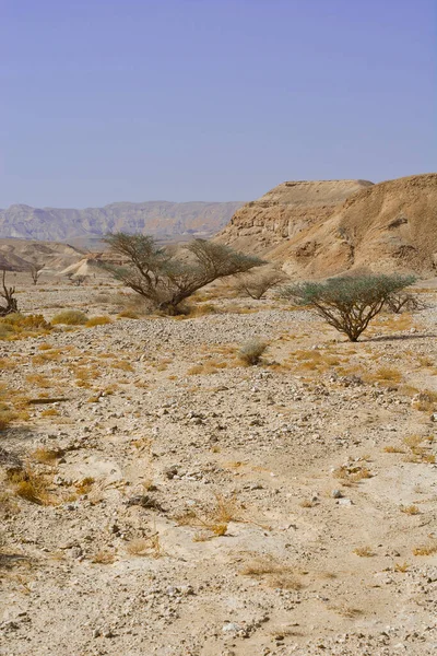 Nieskończona Fantazja Skalistych Wzgórzach Pustyni Negev Izraelu Zapierający Dech Piersiach — Zdjęcie stockowe