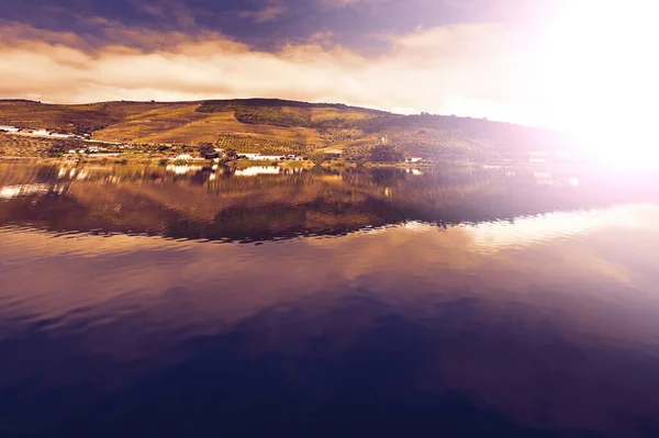 Rozsáhlé Vinice Podél Břehu Řeky Douro Portugalsku Při Západu Slunce — Stock fotografie