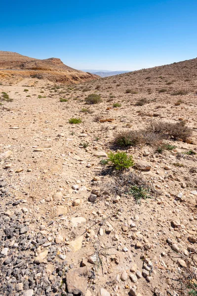 Izraeli Sivatag Sziklaformációi Lélegzetelállító Tájának Élettelen Elhagyatott Színhelye — Stock Fotó