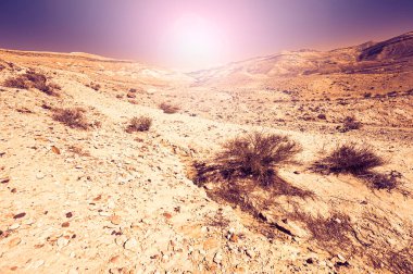 Gün batımında İsrail çölündeki kaya oluşumlarının nefes kesen manzarasının cansız ve ıssız manzarası.