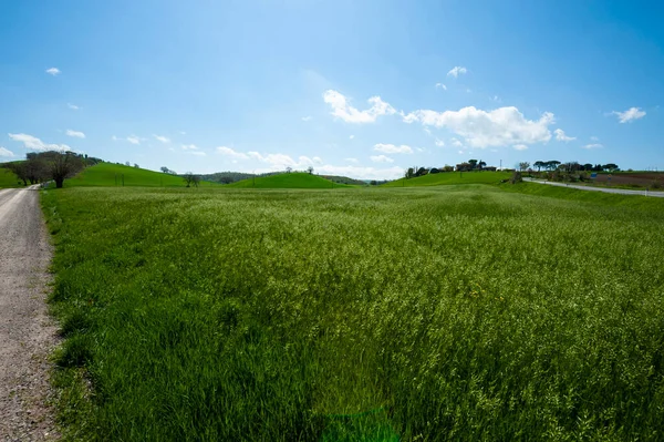 Estrada Terra Sinuosa Entre Campos Primavera Toscana — Fotografia de Stock