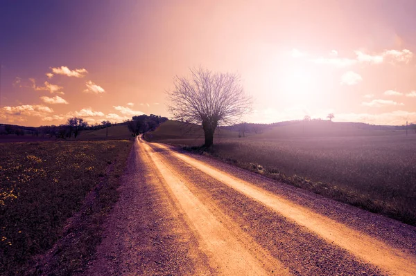 日没時にトスカーナの春のフィールド間の曲がりくねった未舗装道路 — ストック写真