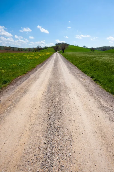 Chemin Terre Sinueux Entre Les Champs Printemps Toscane — Photo