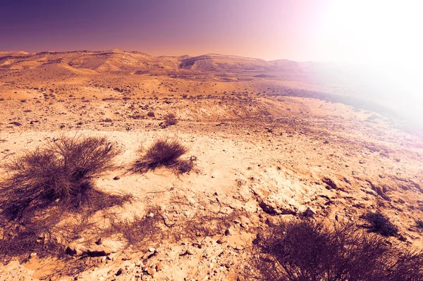 Lifeless and desolate scene of the breathtaking landscape of the rock formations in the Israel desert at sunset