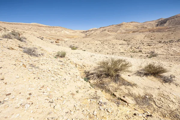 Leblose Und Trostlose Szenerie Der Atemberaubenden Felsformationen Der Israelischen Wüste — Stockfoto