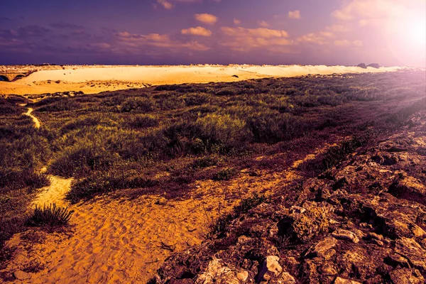 Ancient Roman Aqueduct Mediterranean Coast Israel Sand Dunes Dawn Contemporary — Stock fotografie