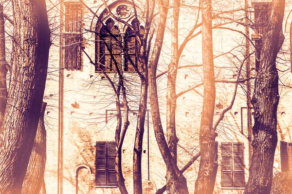 Причудливая Тень Деревьев Дворе Дворца Герцога Гонзага Мантуе Рассвете Современном — стоковое фото