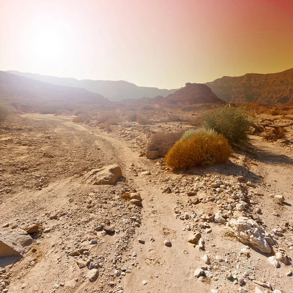 以色列内盖夫沙漠的岩石群山的孤独和空虚 中东令人振奋的风景和自然 — 图库照片