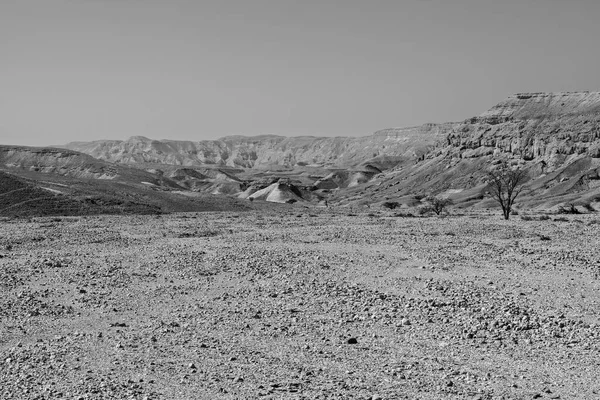 Colinas Rocosas Del Desierto Del Néguev Israel Impresionante Paisaje Las —  Fotos de Stock