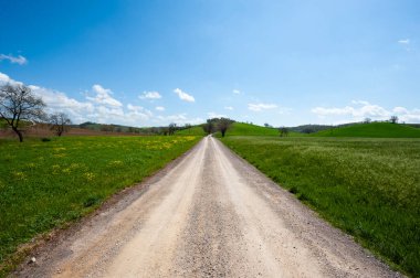 Tuscany 'nin bahar tarlaları arasında dönen toprak yol