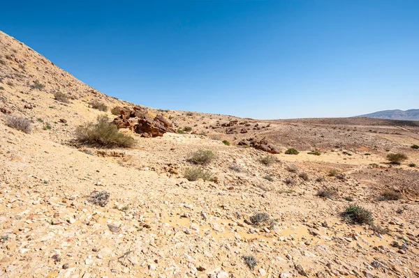 イスラエルの砂漠での岩の形成の息をのむような風景の生涯と荒涼としたシーン — ストック写真
