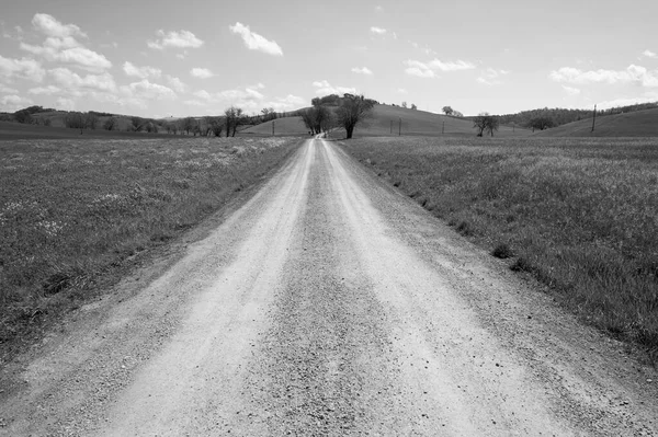 Tuscany Bahar Tarlaları Arasında Siyah Beyaz Toprak Yol — Stok fotoğraf