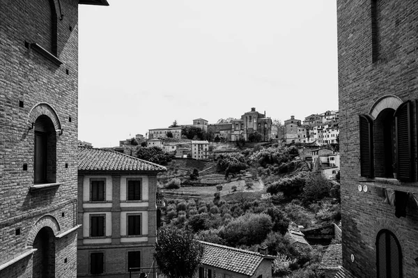 Arkitekturen Den Medeltida Italienska Staden Siena Gammal Fasad Fönster Med — Stockfoto