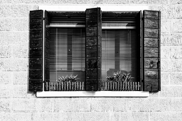 Італійські Вікна Нові Старі Горизонти Краси Функціональності Продуктивності Чорно Білому — стокове фото
