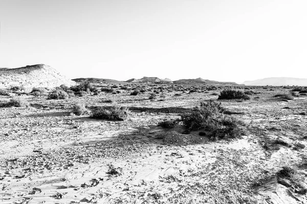 Zapierający Dech Piersiach Krajobraz Formacji Skalnych Izraelskiej Pustyni Czerni Bieli — Zdjęcie stockowe