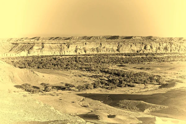 以色列内盖夫沙漠的洛基山 风格照片 — 图库照片