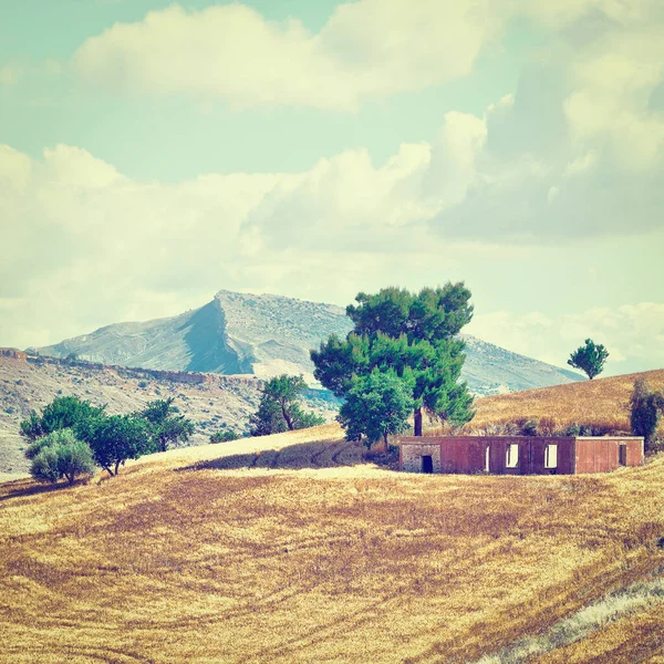 Пшеничные Поля Холмах Сицилии Instagram Effect — стоковое фото