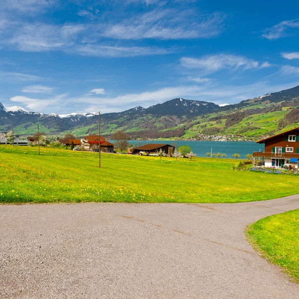 Estrada Longo Lago Nos Alpes Suíços — Fotografia de Stock