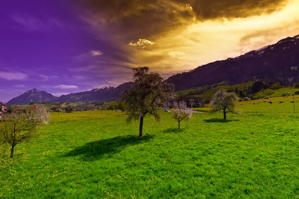 Groene Weilanden Zwitserland Bij Zonsondergang — Stockfoto