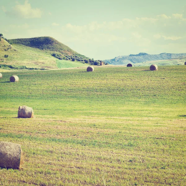 Paysage Sicile Avec Nombreuses Balles Foin Effet Instagram — Photo