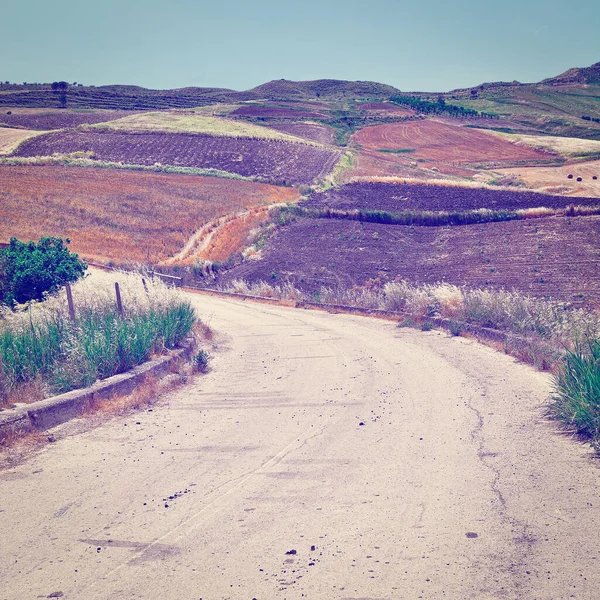 Route Asphaltée Sinueuse Entre Les Champs Sicile Effet Instagram — Photo