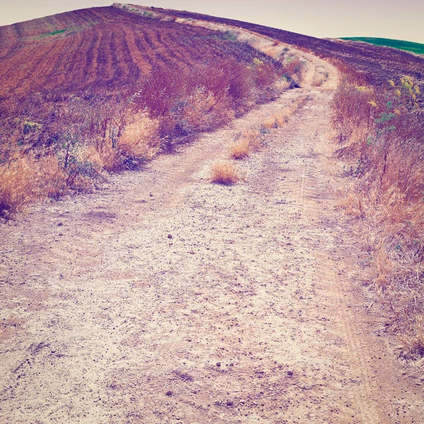 Feldweg Zwischen Frühlingsfeldern Sizilien Instagram Effekt — Stockfoto