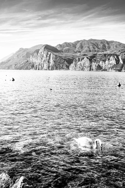 Verlaten Oever Van Het Gardameer Italië Afwezigheid Van Toerisme Zwart — Stockfoto