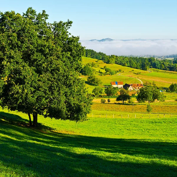 Kleines Französisches Dorf Morgennebel — Stockfoto