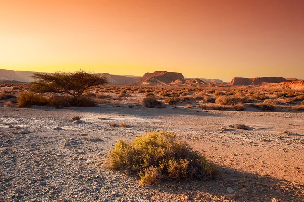 Colinas Rochosas Coloridas Deserto Negev Israel Paisagem Tirar Fôlego Natureza — Fotografia de Stock