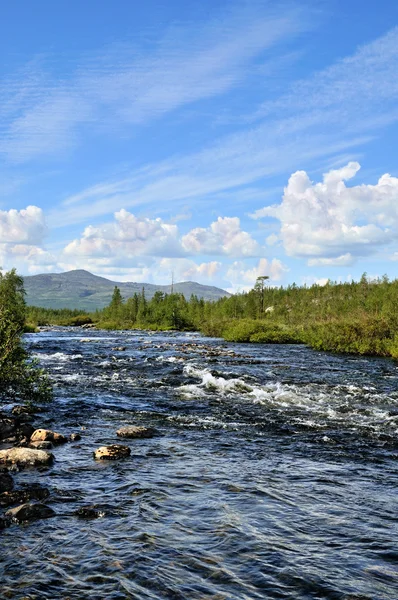 Fiume di montagna — Foto Stock