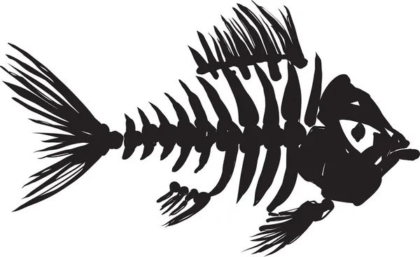 Esqueleto de peixe —  Vetores de Stock