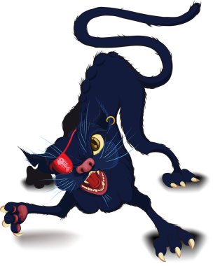 Cat fight
